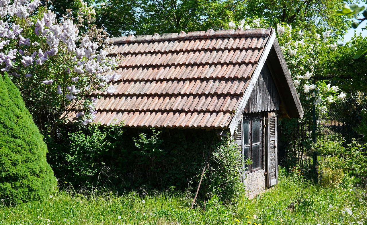 Cabanon en bois couvert de tuiles au fond d'un jardin, entre lilas et herbes hautes