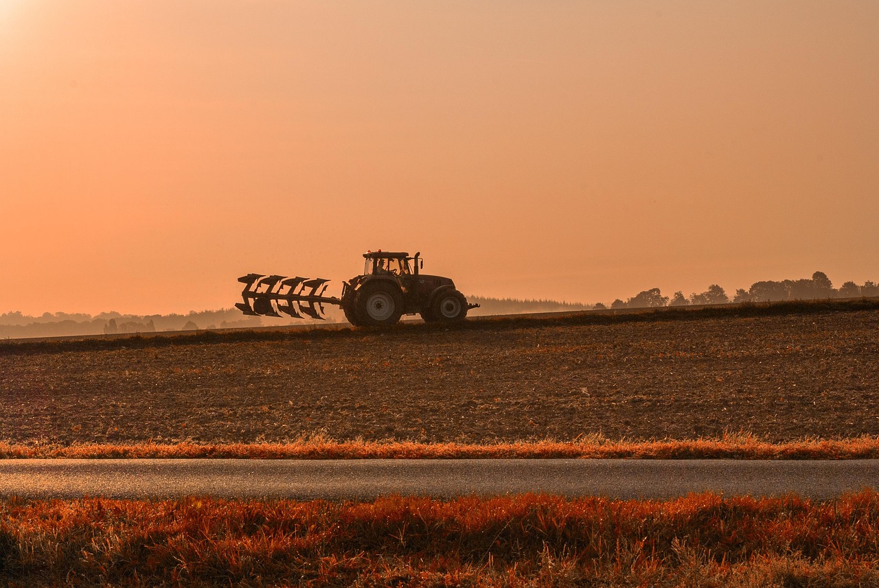 Tracteur labourant un champ