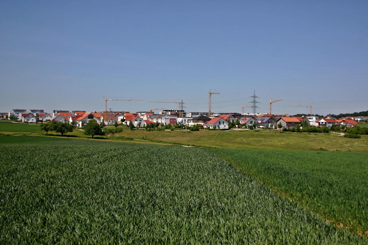 Champ de blé en lisière d'un lotissement en cours d'extension, avec des grues de chantier à l'horizon