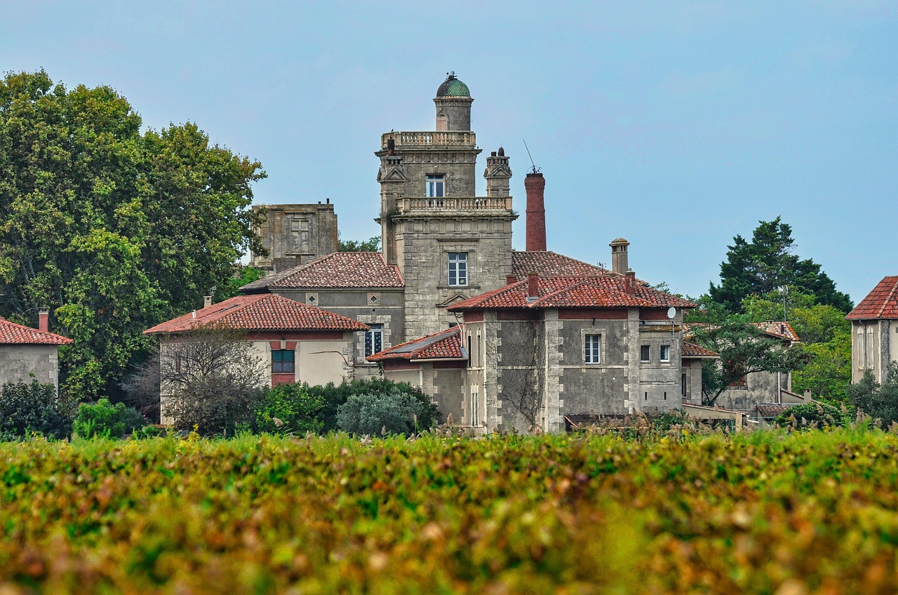 Wine estate chateau among the vines