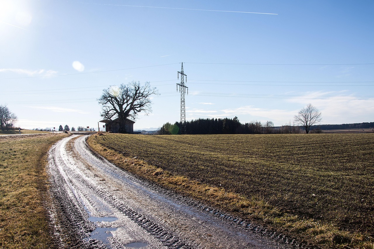 Chemin de terre entre des champs labourés