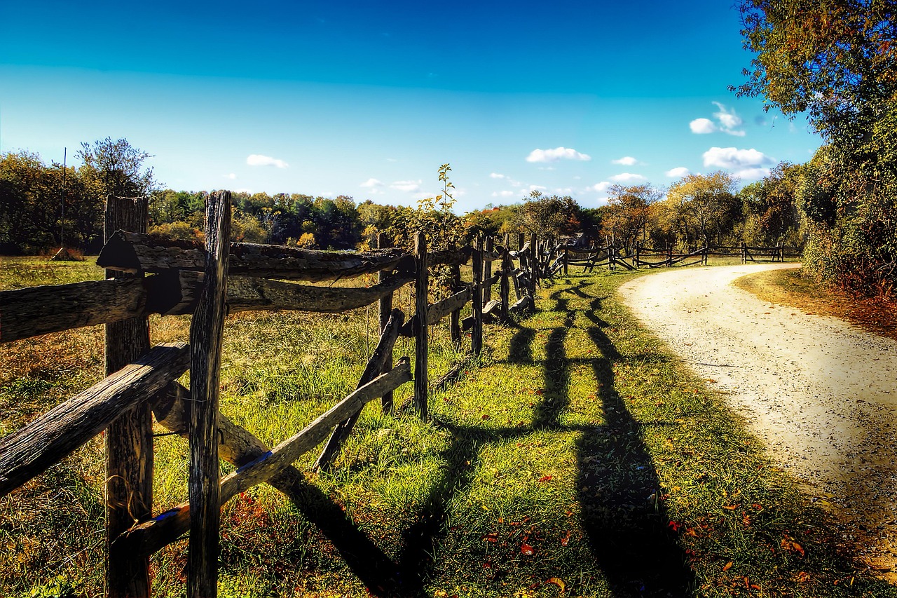Chemin de terre entre des champs