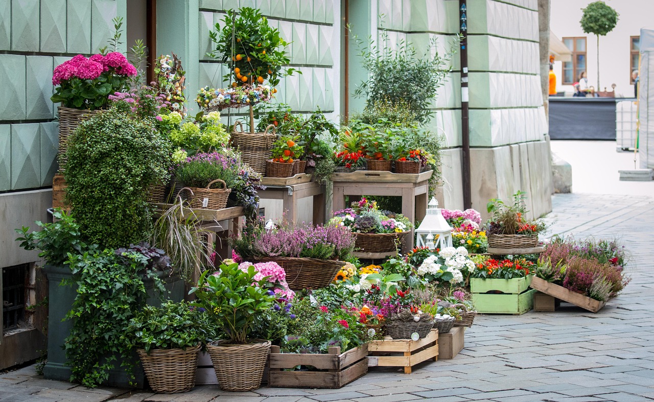 Étal de fleuriste devant une boutique, avec plantes en pots, paniers en osier et cagettes en bois sur un trottoir pavé