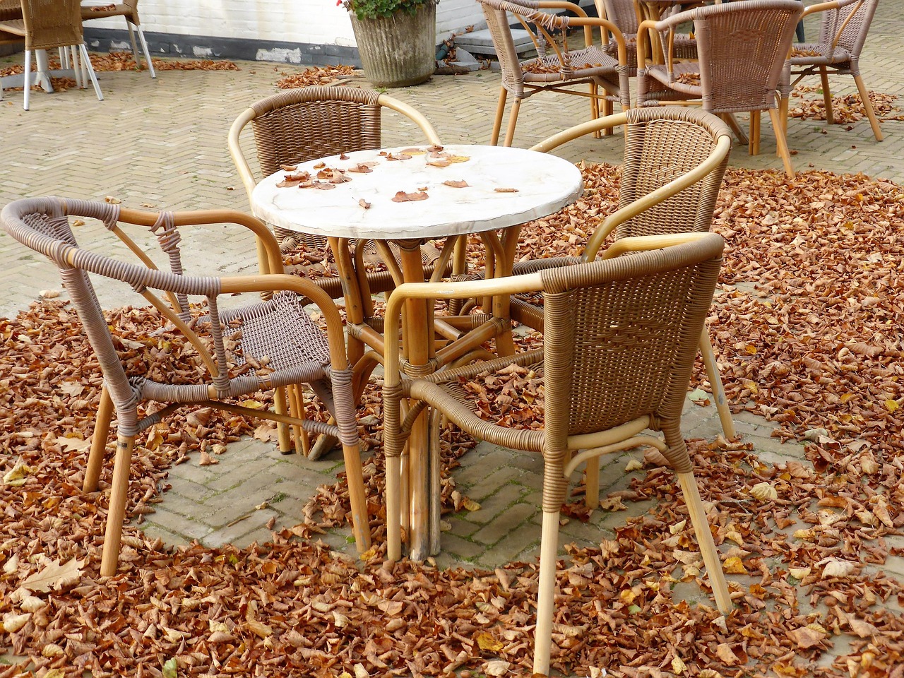 Table et fauteuils en osier d'une terrasse de café couverte de feuilles mortes