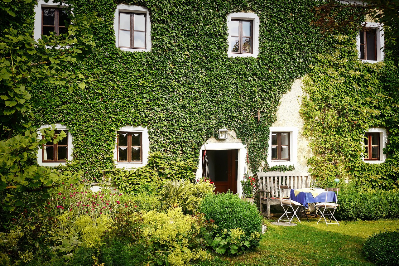 Vieille maison familiale couverte de lierre, avec sa table de jardin devant la porte