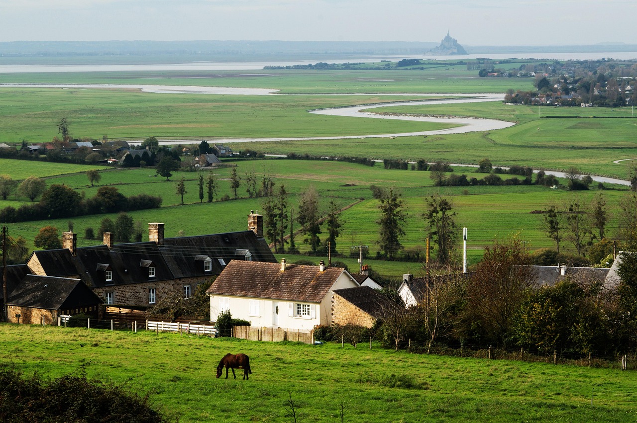 Maisons en lisière de village bordant une prairie, baie du Mont-Saint-Michel à l'horizon